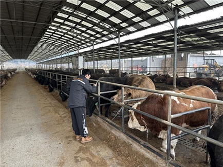 �й����ٲ��ձϽ�������֧��˾�Ƽ����ܣ���׼���ϡ���ţ��ʶ������ũҵ��������Ĵ���Ӧ�������ʵЧ