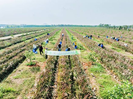 һ�ŷ���ġ���Ȼ�족����ս���Ӻ�����䵽�ٹ�԰������ʳ������