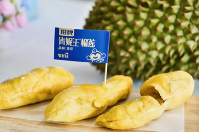 һ�������Ŀ��֮�ã��ӹ�԰�������ġ�Ӳ�ż����밲ȫ�ջ�