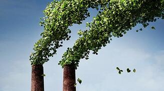 ����Ժ��������Դ����ƭ����ΪҪ���ϴ���