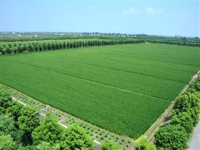 2017������һ���ļ����ƽ�ũҵ������ṹ�Ըĸ�