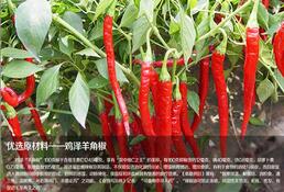 �¾��������й������̳�ƽ̨ ���컥����+�³���