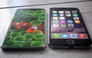 ��ý�����й������½���14% ƻ����ļ���iPhone 8�ȳ�