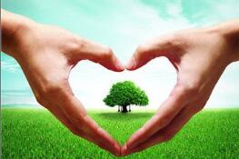 �й��˱���˵���ж�����ĸ�׽�˵�����ٵȴ�