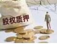 ��ҹ�˾��Ȩ��Ѻ�����֡�  ��Ѻ�ܹ�ģ��5����Ԫ