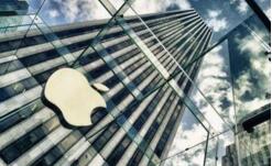 ƻ���������۲Ʊ� �ɼ��̺����5%