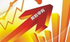 �¹��깺���⻪�ɷݡ�����ҽѧ���ս����깺