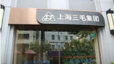 �Ϻ���ë���ϰ��꾻��3453��Ԫ ͬ��Ť��Ϊӯ ÿ������0.172Ԫ