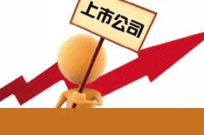 ��ũ��������Ȼ�˾���  �����������빫˾��Ʊ