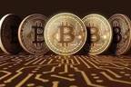 ICO��ĭ�������г�����40%   ������ʮ����û��