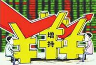 ��������޶�ҵ�����   ����ʽ����Ѻ���ʾ�������Ϊ��