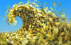 �ƽ�����ʩչ����ħ��  �����󱬷��ı�Ե