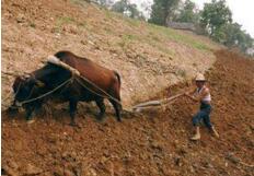 ������ȫ�����ص���������������