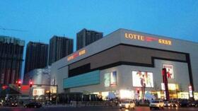 ���켯���������Ѱ�ҽ�����  �չ�������ı���Զ�����������