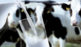 ��ý���й�����������Ʒ��ͷ��ٺ����չ���ǿ��Դ��Ӧ