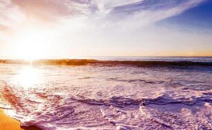 ����·���Ż� ���յ���ԤԼ���ư���èȫƽ̨