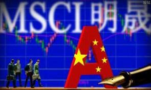 MSCI����������ʽ����A�� 
