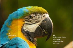 ��������ӽ� ��լ����Ҳ����Ȥ����