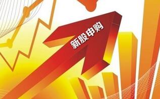 �¹��깺�������²ĵ�3ֻ�¹ɽ����깺