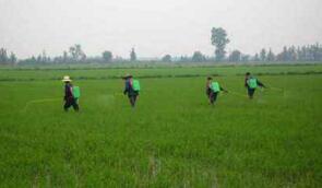 �ݸ�좵����Ƿ��°������ʰ�֢�о���������۸ı������