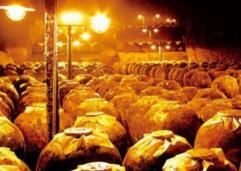 һ���߰׾���ҵ���������죺�׾���ҵҵ���ֻ��Ӿ�