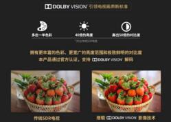 �߹󲻹�����ȫ��λ�����������������