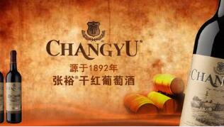 ��ԣ�ٴ�����쵼���ӽ��� ȫ��ս�Խ���������