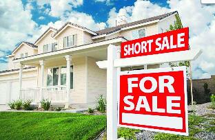 ����20�Ƿ��۴������������Ƿ� ͹�����г�������ϡȱ