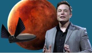 ��˹���ڡ���ӥ���͡��ϻ��ѳ�5����Ԫ  14���������