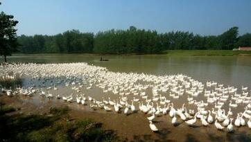 ũҵ������ع�����������ϵ ��������ҵ��չ��ģʽ