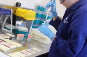 �����̷۵Ĺ��ʻ�̽����������캽�й���ҵ��������ȫ��֯����