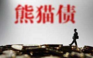 ���ɱ�����20�����й��״η�����èծȯ������14.6��Ԫ�����