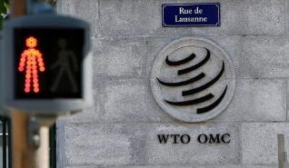 ����ó����֯�ܸ��º�����Ա��Ӧ��ó������ʱ���ֿ��ơ�չ���Ի�