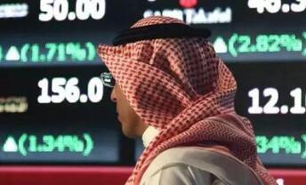 ɳ�ؽ�����CEO���д������ʲ���ɳ�ذ���IPO