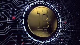 ����˾�����Ա��رҵ�������ҽ������µ��� ��Լ۸����