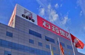 ʯҩ������ʽ������ۺ���ָ���ɷݹ�