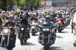 ���״�άɭ�µ�����Ԥ�� Ԥ�ƹ�˰������������