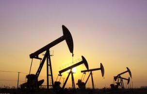 ��������2014�������ߵ� ��OPECδ������������