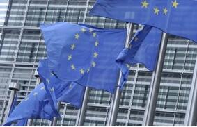 ����˹��ŷ�޹���չ������  ��ŷԪ�ȷ���Ԫ���ҽ���ʯ��ó��