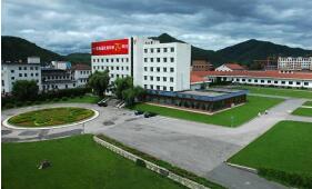 ͨ�����������������ȵ���ע��Һ��ҩ���ٴ���������