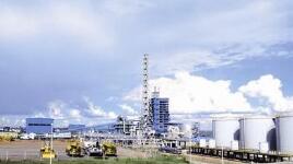 �й���ɫ���ų�����ҵ��13�ҹ�����ҵǩ��8��ɹ�Э��