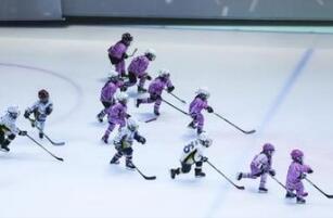 ����Ժ�칫��ӡ�������ڼӿ췢չ�����������ݲ�ҵ��ָ�������