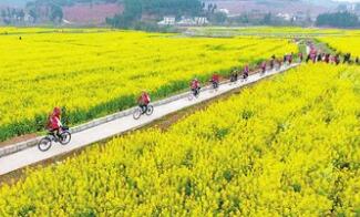 ����ũ�幤�������ٿ��ڼ� �������ս���Ծӡ�Ҫ��