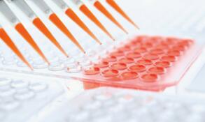 ����ʡ������ϸ���⽨��