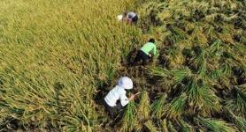 �й���ѧ�ҳɹ���¡���ӽ�������