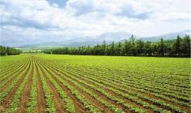 ��ó����2019���� 5 ��  ���񲿹���ӡ����2019 ��ȸʲݼ�����Ʒ������� ��һ���б��б���ҵ���������б��ȱ�����֪ͨ 