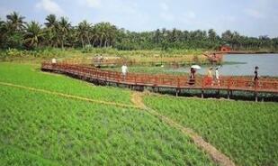 �����ȴ����ֹ��ҹ�԰������̬��Ǩ������������