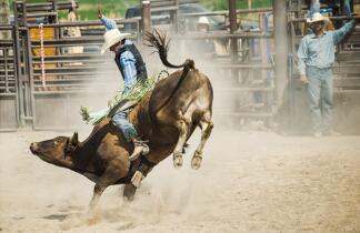 ��Ħ����ʦ����ʹ������Ǳ�� Ͷ����ҲҪ������������