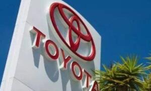 ���������µ���Ⱦ���Ԥ��