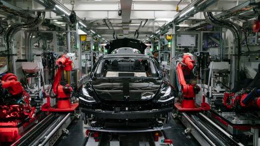 ��˵��˹���������Ŷ�������Ĳ�Ա��Ԫ������